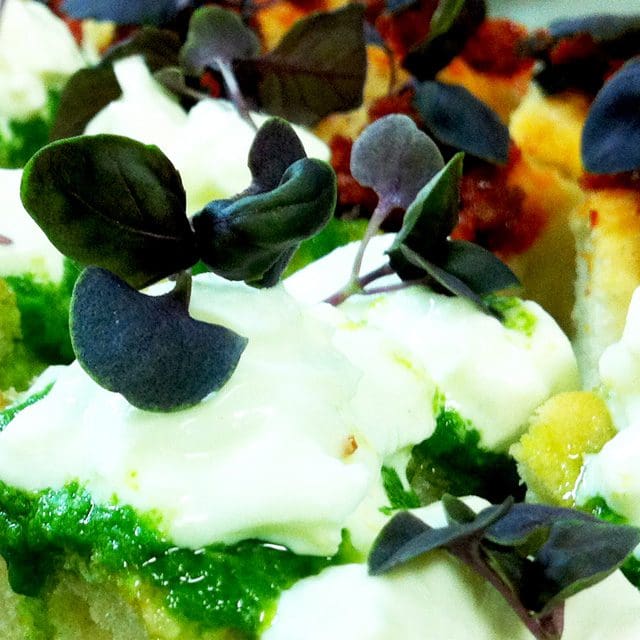 Vegetarians can enjoy our delicious canapés, this image shows crostini with pesto, sun touched tomato, olive, fresh basil, we ensure everyone is catered for. Elegant canapé receptions for your wedding or Champagne party. Inclusive networking treats to keep your delegates talking. Dietary requirements are taken in hand so your canapé reception leaves nobody out.
