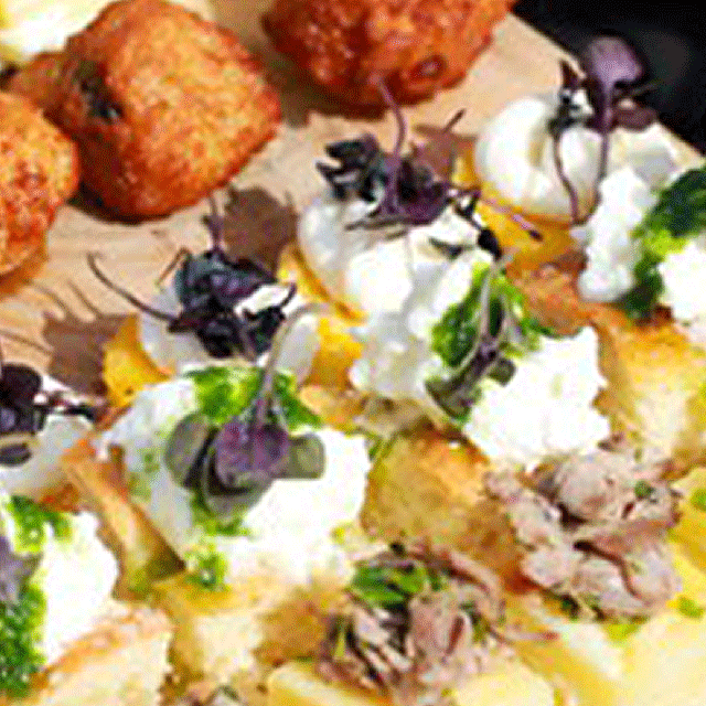 A colourful selection of summery canapé, one golden, another focaccia with burrata, hazelnut pesto and purple baby basil. Follow for our canapé menues